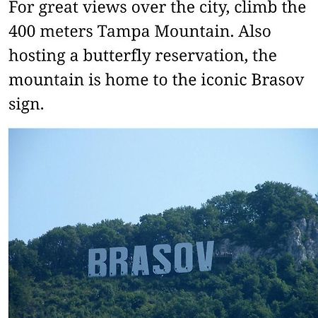 Maya'S Apartament Brasov Leilighet Eksteriør bilde